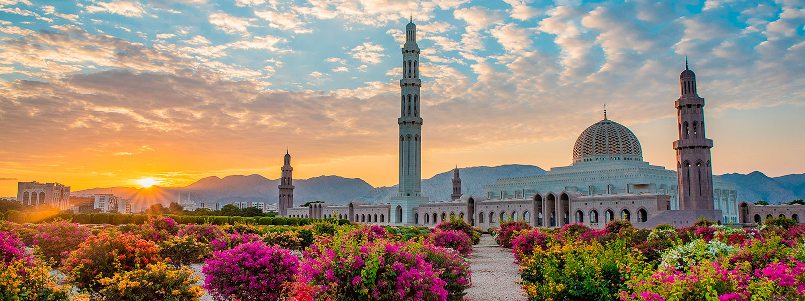 Oman: Viaggio tra Storia, Wadi e Dune Dorate